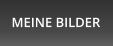 MEINE BILDER